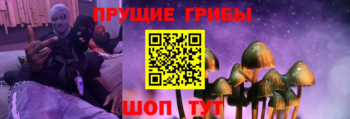 Галлюциногенные грибы GOLDEN TEACHER Выборг